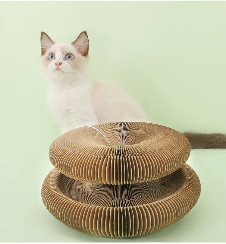 Popular Magic Organ Cat Scratch Board Cat Toy with Bell Cat Scratch Claw Cat Crawler Pet Supplies