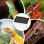 Lizard Tank Transparent Snake Tank Lizard Terrarium Small Reptile Habitat Breeding Box Amphibians Enclosure Sliding Cover Keeper