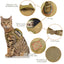 Tactical Small Dog Cat Harness Leash with Patches Working Training Puppy Straps with Handle Soft Mesh Adjustable Pet K9 Vest