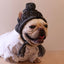 Winter Soft Dog Hat Warm Pet Dog Knitted Hat with Ear Holes Windproof Knitting French Bulldog Hat for Puppy Small Medium Dog Cap