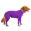 Dog Onesie Clothes Shedding of Dog Hair for Home Car Travel Anxiety Calming Shirt Surgery Recovery Body Jumpsuit for Large Dogs