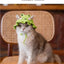 Luxury Design Pet Hat for Small Dogs Knitting Animal Shaped Cosplay Puppy Head Wear Caps New Year Warm Lace Up Cat Accessories