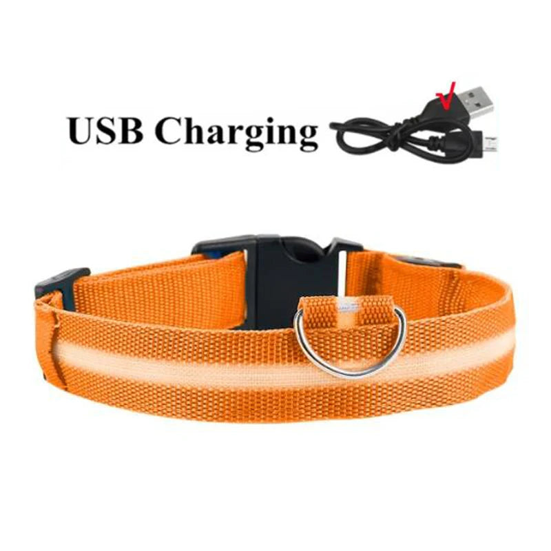 LED Dog Collar USB Rechargeable - Bright & High Visibility Lighted Glow Collar for Small Medium Large Breeds Pet Night Walking