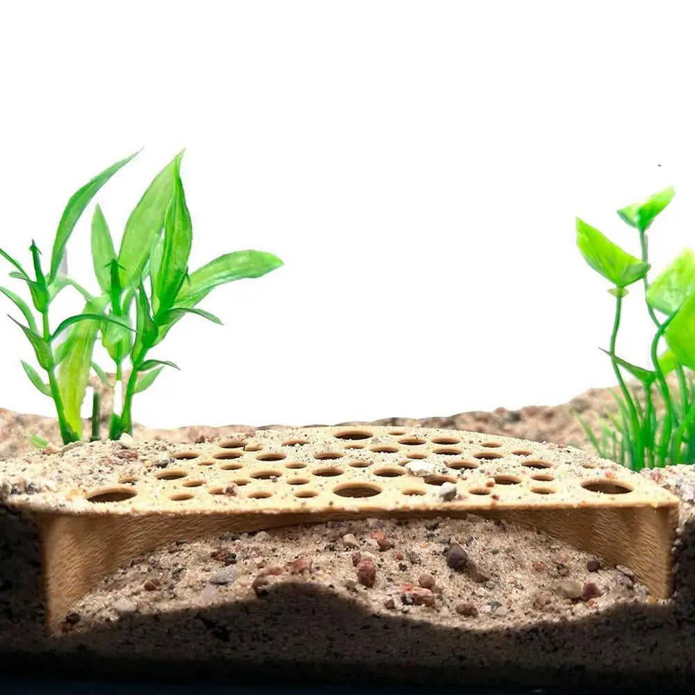 Aquarium Shrimp Breeding Cave Aquarium Hide Shrimp Tunnel Fish Hide Shrimp Breeding Protector Aquarium Decor Fish Tank Feed Tool