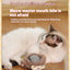 New Smart Cat Dog Toys Automatic Rolling Ball Fake Tail Rechargeable Electric Cat Bite Resistant Interactive Toy Pet Products