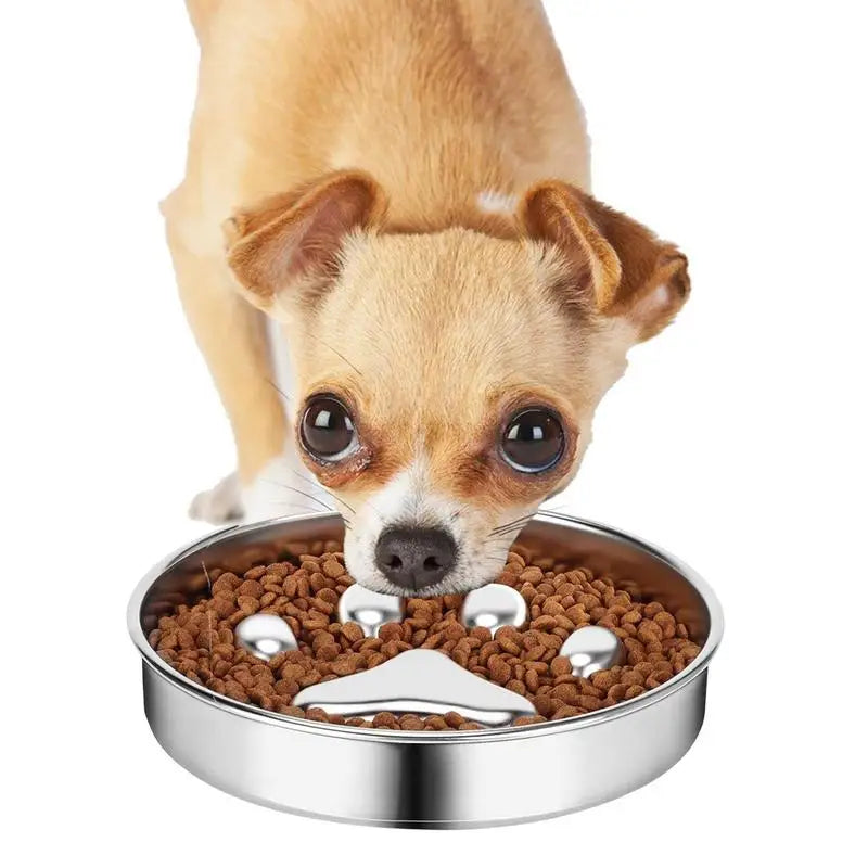 Dog Food Bowl Anti Rust Cat Food Bowl Oven Fridge Safe Pet food Container Dish for Small Medium Size Dogs for Indoor Outdoor
