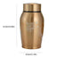 Keepsake Cremation Urns Metal Memorial Pet Jar Cat Dog Cremation Cremation Funeral Sealed Urn For Pet Cats Dogs Ashes