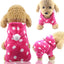 2024 Pet Dog Clothes  Warm Soft Fleece Dogs Jumpsuits Pet Clothing for Small Dogs  Cats Hoodies Chihuahua Yorkshire Costume Coat