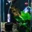 Mini Aquarium Sponge Filter Fish Tank Shrimp Pond Air Pump Biochemical Sponge Filter Aquarium Filtration Filter BioSponge Filter