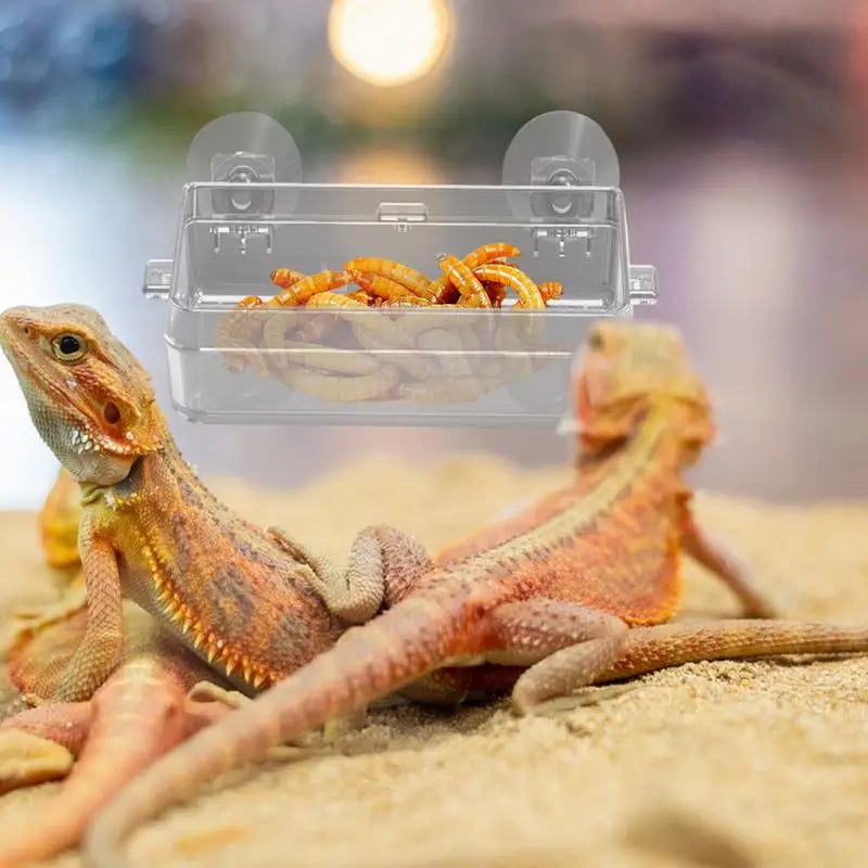 Reptile Ledge Feeder Suction Cup Gecko Ledge Feeder Anti-Escape Mealworm Bowl Durable Feeding Basin Pet Supplies