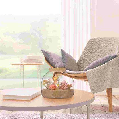 Cork Glass Bottle Plant Terrarium Large Micro Landscape Flower Pots Ecosystem Small Container Bracket Cookie Jar Office
