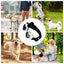 Heart-shaped Dog Sunglasses UV Protection Sun Glasses With Adjustable Strap Anti-Fog Goggles  Puppy Outdoor Eyes Protections