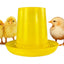 Chicken Feeder Baby Chick Feeder Poultry Feeder with Large Capacity Automatic Chicken Food Dispenser Picnic Table Feeder