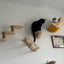 Wall Mounted Cat Climbing Wooden Shelves Cat Hammock Hanging Bed with Jumping Platform and Stairway for Kitten Playing and Rest