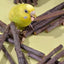 Professional Bird Parrot Teeth Grinding Apple Tree Stick Minerals Molar Stone Toys for Chinchilla Hamster Small Pet Toys Supply