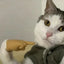Cat Novelty Toys Teasing Cat TPR Soft Finger Gloves Funny Mini Hands Creative Finger Toys Fake Hand Cat Interactive Toys