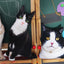 50cm Cute Lifelike 3D Cat Dog Plush Toys Stuffed Soft Animal Doll Simulation Sleep Pillow Sofa Cushion Home Decor Gift