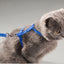 Adjustable Pet Cat Collar For Cats Cozy Nylon Rabbit Kitten Kedi Harness Leash Set Small Puppy Dog Cat Accessories Pet Products