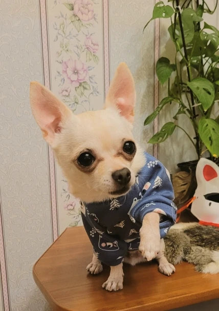 Xs Dog Clothes for Small Dogs Girl Puppy Clothing for Small Dogs Boy Cat Jacket Personalise Pet Shirts for Pug Chihuahua Bulldog
