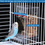 Bird Feeder Automatic Parrot Feeder Beverage Acrylic Seed Food Container Small And Medium-Sized Parrot Cage Accessories