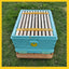 Langstroth 3-Layer 10-Frame Thermo Plastic Bee Hives for Sale - Bee Hive Box - Beekeeping Equipment Wholesale - Beehive Supplies