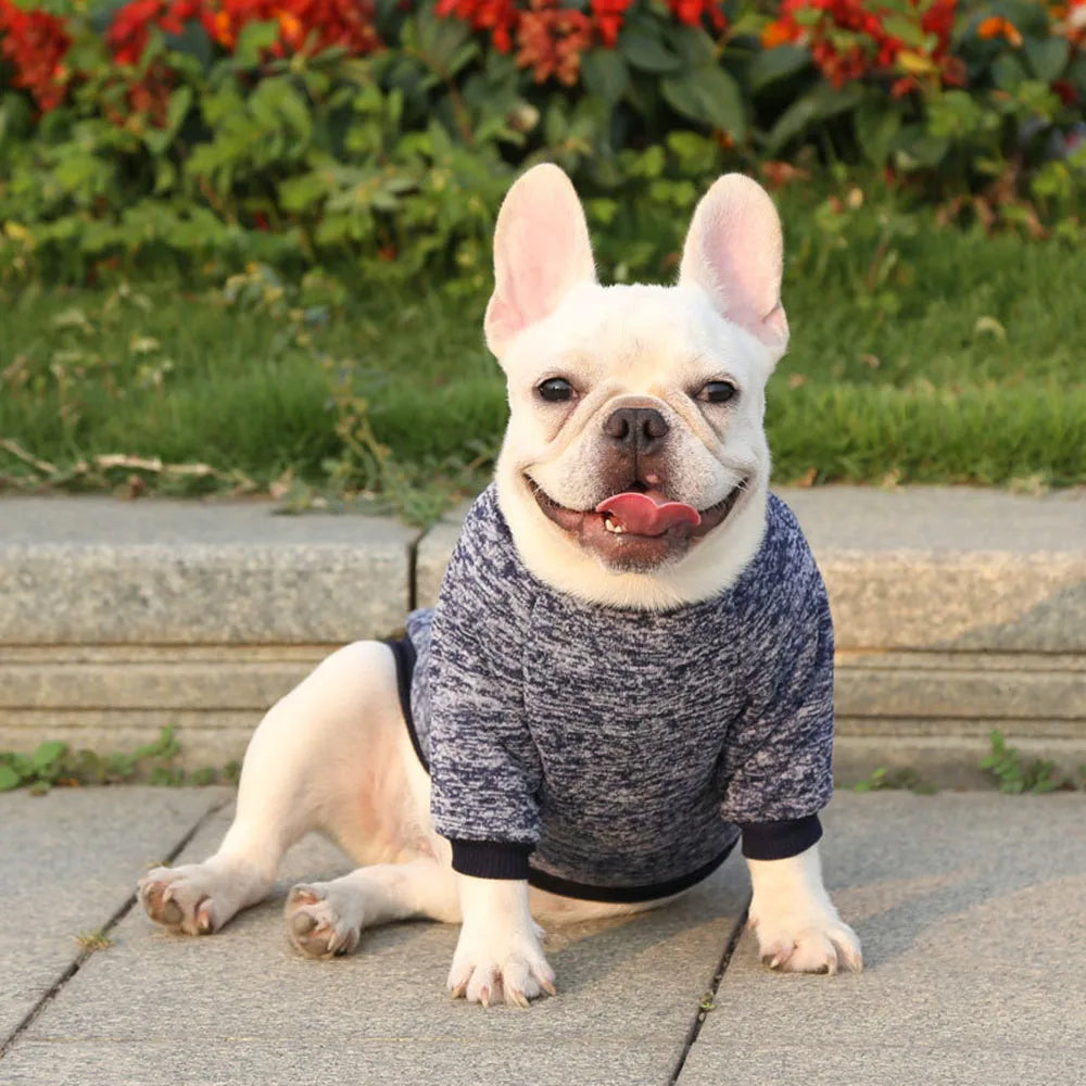 Pet Dog Clothes Knitwear Dog Sweater Soft Thickening Warm Pup Dogs Shirt Winter Puppy Sweater for Dogs Casual Pet Cat Clothing