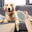 Dog Shampoo Brush Pet Bathing Brush Soft TPR Dog Scrubber With Ring Handle Massage Brush For Dog Shower Ergonomic Dog Bathing