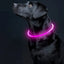 Dog Collar Luminous Usb Cat Dog Collar 3 Modes Led Light Glowing Loss Prevention LED Collar For Dogs Pet Dog Accessories