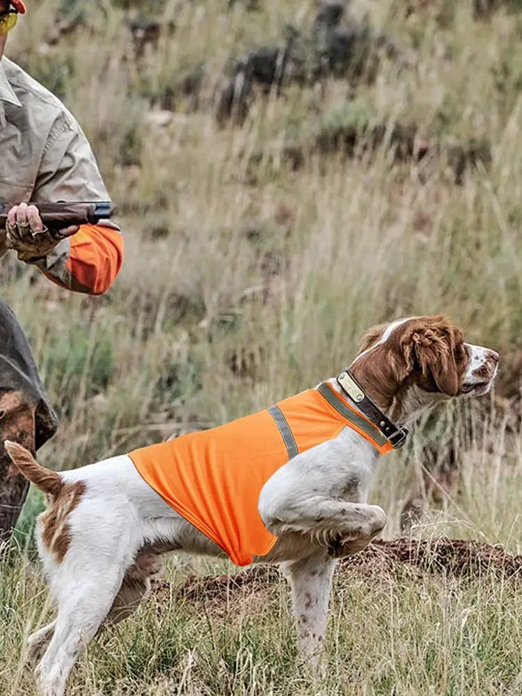 Dog Safety Vest Reflective Dog Vest Night Safety Fluorescent Dogs Clothes Safety Vest Outdoor Training Running Vest Pet Supplies