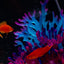 Artificial Silicone Underwater Coral Aquarium Fish Tank Simulation Decoration Aquarium Backgrounds Plants Water Grass Decora