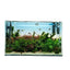 Customized Different Size Fish Tank Coral LED Aquarium fresh water plant fish light for tank