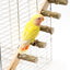 4/6 Steps Wood Ladder Pet Interactive Bird Parrot Toy Ladder for Hamster Cage Funny Grinding Stick Climbing Toy Bird Accessories