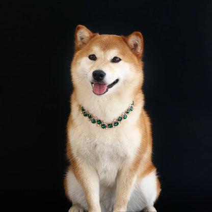 Luxury Dog Accessories for Small Medium Dogs Puppy, Blingbling Diamond Pearl Dog Cat Neckalce Adjustable Crystal Jewelry Collar