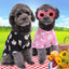 Summer Dog Clothes Puppy Pet Clothes Fashion Clothing For Small Medium Dogs Winter Chihuahua Clothes Classic Outfit Ropa Perro