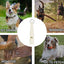 Dog Recall Whistle Waterproof Portable Dog Training Kit Anti Bark Device Compact Dog Training Tools Stop Bark Control Tool