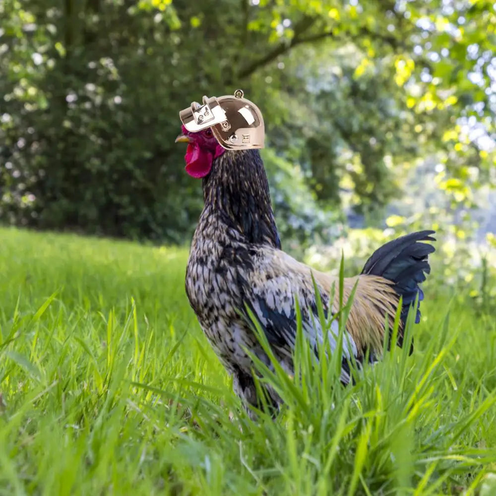 Chicken Helmet Small Pet Hard Hat Funny Chicken Helmet Hen Hard Bird Hat Headgear Protective Pet Helmet Safe Supplies