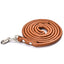 Pet Products Round Colorful PU Rolled Dog Walking Leashes for Small Medium Breeds Dogs Puppy Chain Lead Training Walking Leash