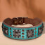 Cool Spiked Dog Collar For Medium Large Dogs Genuine Leather Pitbull Bulldog Adjustable Pet Accessories Collars Necklace