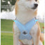 New breathable pet chest harness vest style reflective dog leash pet leash