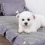 Dog Mat Bed Small Pets Dogs Accessories Sofa Pet Beds Puppy Supplies Accessory Breeds Basket Bad Baskets Cushions Big Cushion