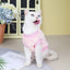 Autumn Winter Sphynx Cat Clothes Korean Pet Sweater for Cats Gotas Katten Kedi Pullovers Dog Hoodie mascotas Costume Clothing