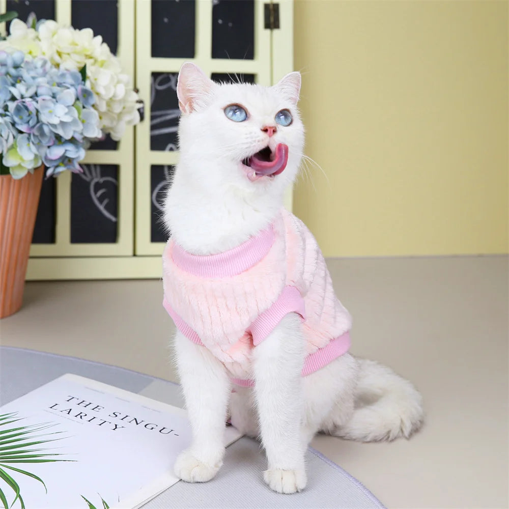 Autumn Winter Sphynx Cat Clothes Korean Pet Sweater for Cats Gotas Katten Kedi Pullovers Dog Hoodie mascotas Costume Clothing