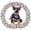 Diamond cats Dogs Necklaces Chain Collar 15MM wide Luxury Jewelry Necklace Cuban Gold Chains for Dogs and Cats