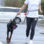 Elastic buffering explosion-proof flushing multifunctional dog walking chain, dog traction rope, pet supplies, running rope