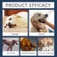 Dog Support Supplements 30ml Dog Immune Support Drops Nutrition Supplement For Dogs Natural Supplement Pet Supplies