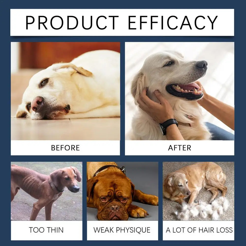 Dog Support Supplements 30ml Dog Immune Support Drops Nutrition Supplement For Dogs Natural Supplement Pet Supplies
