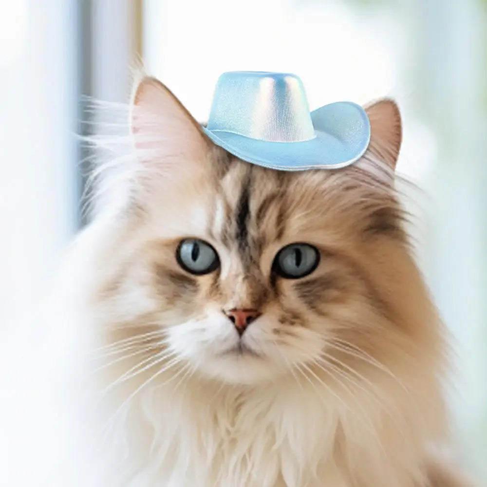 Pet Cowboy Hat Pet Hat Halloween Kitten Hat Shiny Cowboy Hats Small Cowboy Hat Dog Costume Cat Hat Cosplay Prop Western Cowboy
