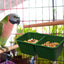 Bird Feeder For Cage 2 In 1 Parrot Cage Food And Water Bowl Double Groove Bird Food Bowl For Cage For Hold Food Water Universal