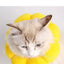 Pets Cats After Surgery Wound Protective Collar Cotton Soft Adjustable Elizabeth Collar Prevent Licking Of Hair Sunflower Collar