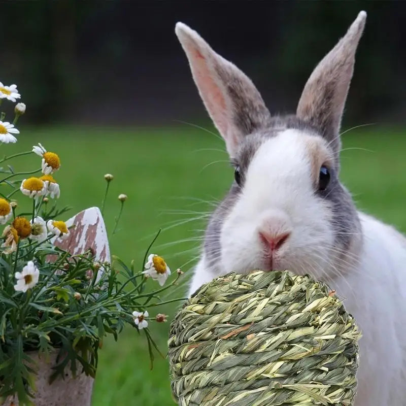 Rabbit Chew Toy Hamster Grass Ball Bite-Resistant Small Animal Treats Gnawing Fun For Rabbit Squirrel Hamster Chinchilla Guinea